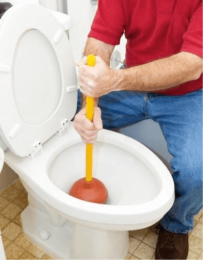 Toilet drains
